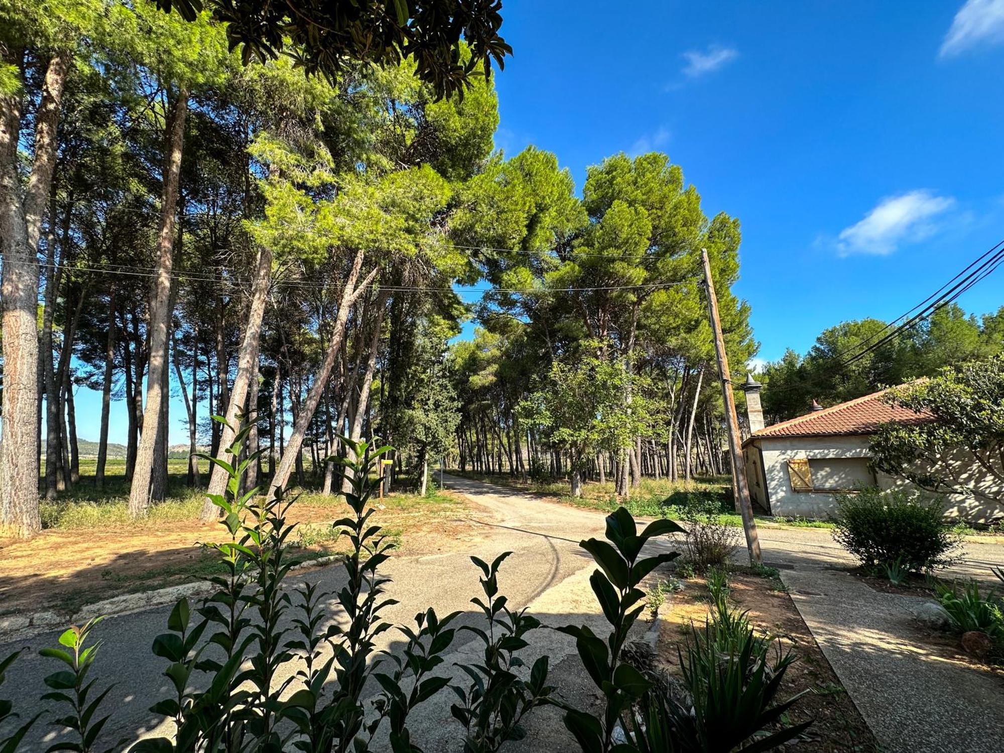Casa Rural Los Pinos Valmuel Εξωτερικό φωτογραφία