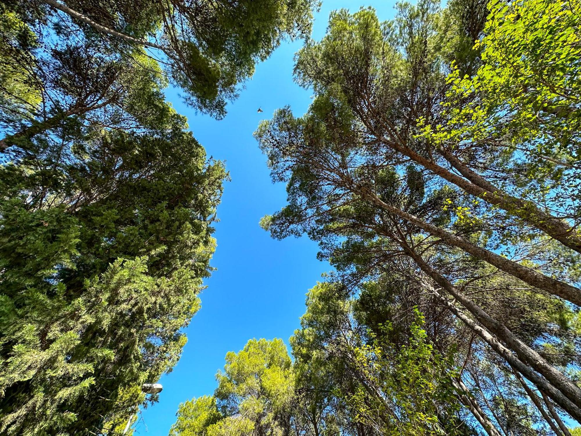 Casa Rural Los Pinos Valmuel Εξωτερικό φωτογραφία