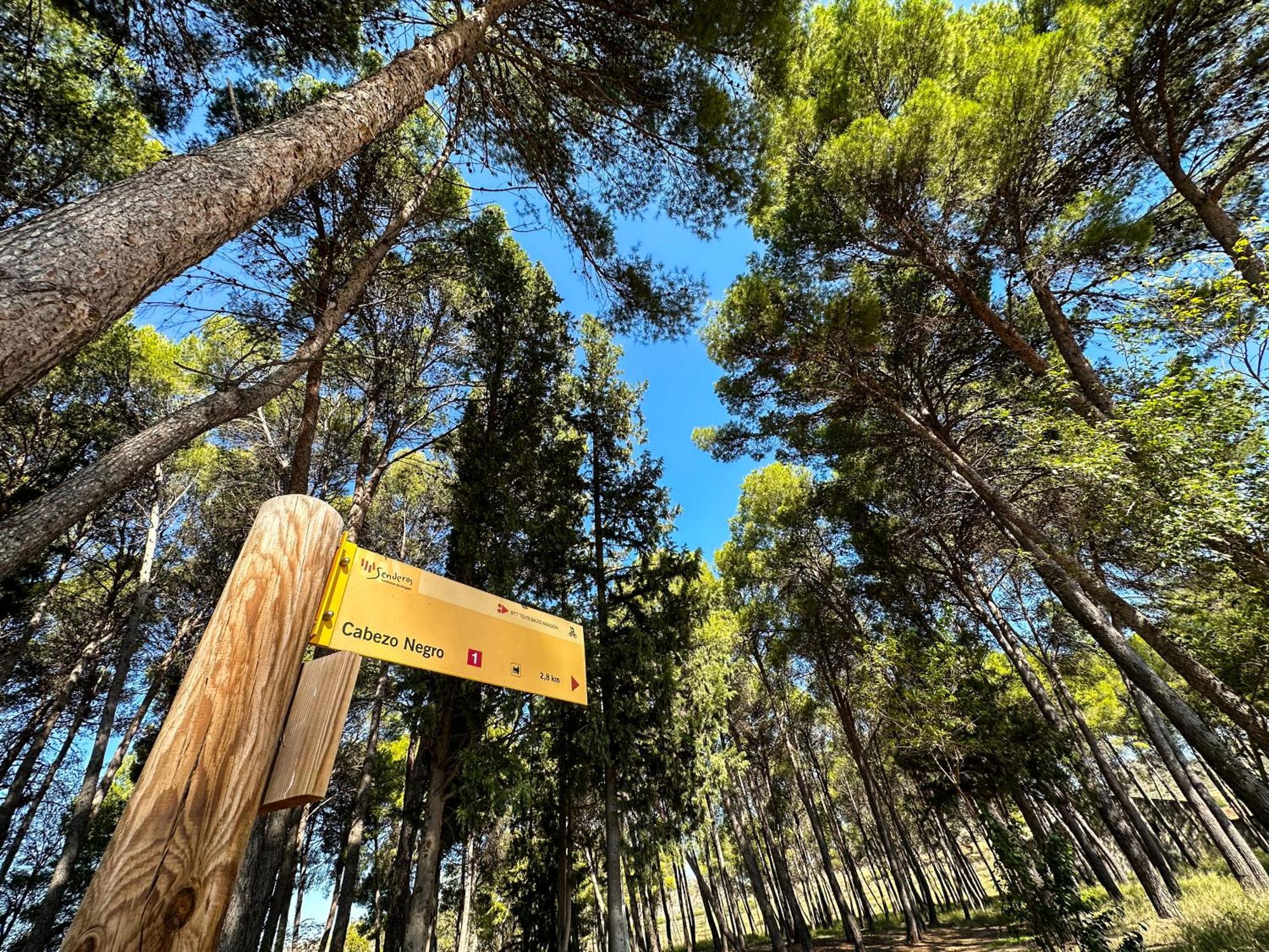 Casa Rural Los Pinos Valmuel Εξωτερικό φωτογραφία