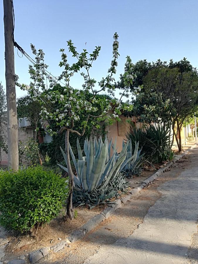 Casa Rural Los Pinos Valmuel Εξωτερικό φωτογραφία